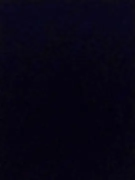 Cam4 Free Porn Cam of nitsuga9