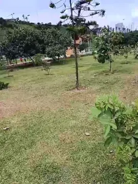 Cam4 Sex Cam of diegolimape2