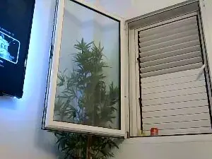 Cam4 Adult Webcams of Jeffhubard