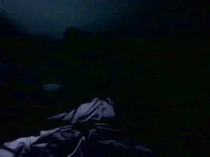 Cam4 Sex Chat of Jeffhubard