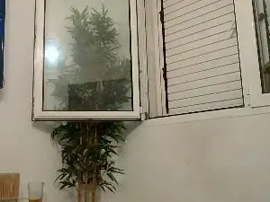 Cam4 Adult Video Chat of Jeffhubard