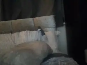 Cam4 Live Porn of Dazzling1986
