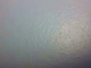 Cam4 Adult Webcam of bigbambooforyou