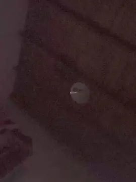 Cam4 Free Live Porn of cofla41_Poringa