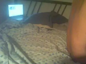 Cam4 Best live sex cam show of maleblue