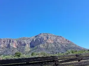 Cam4 Live Porn of Xicodenia