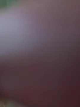 Cam4 Best live sex cam show of Sam5791