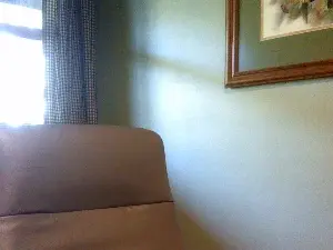 Cam4 Best live sex cam show of austinbuckeye
