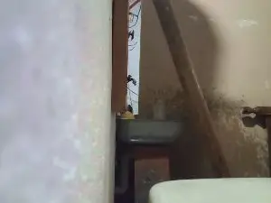 Cam4 Live Sex Cam of Roccardo7