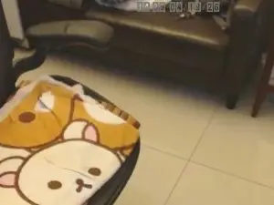 Cam4 Sex Chat of m0909753