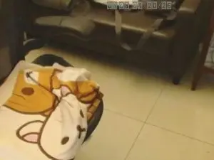 Cam4 Live Sex of m0909753