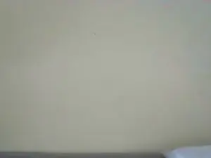 Cam4 Live Sex of machopicudo