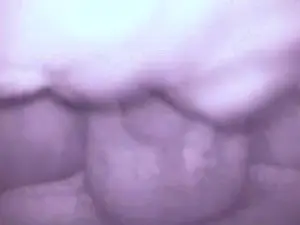 Cam4 Sex Cam of jc83170