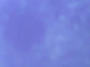 Cam4 Live Sex of jc83170