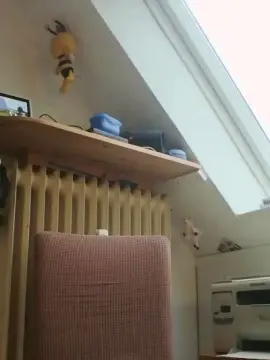 Cam4 Live Porn of pferdeschwanz46