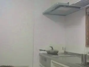 Cam4 Free Live Porn of michio4