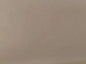 Cam4 Sex Chat of Drachiro