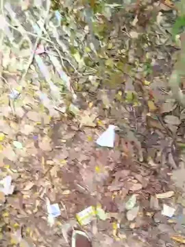 Cam4 Sex Cam of CGurizada