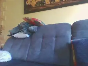 Cam4 Live Porn of s50_sexyhot
