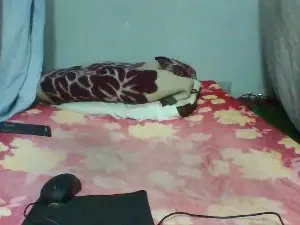 Cam4 Live Sex of Joliebombe