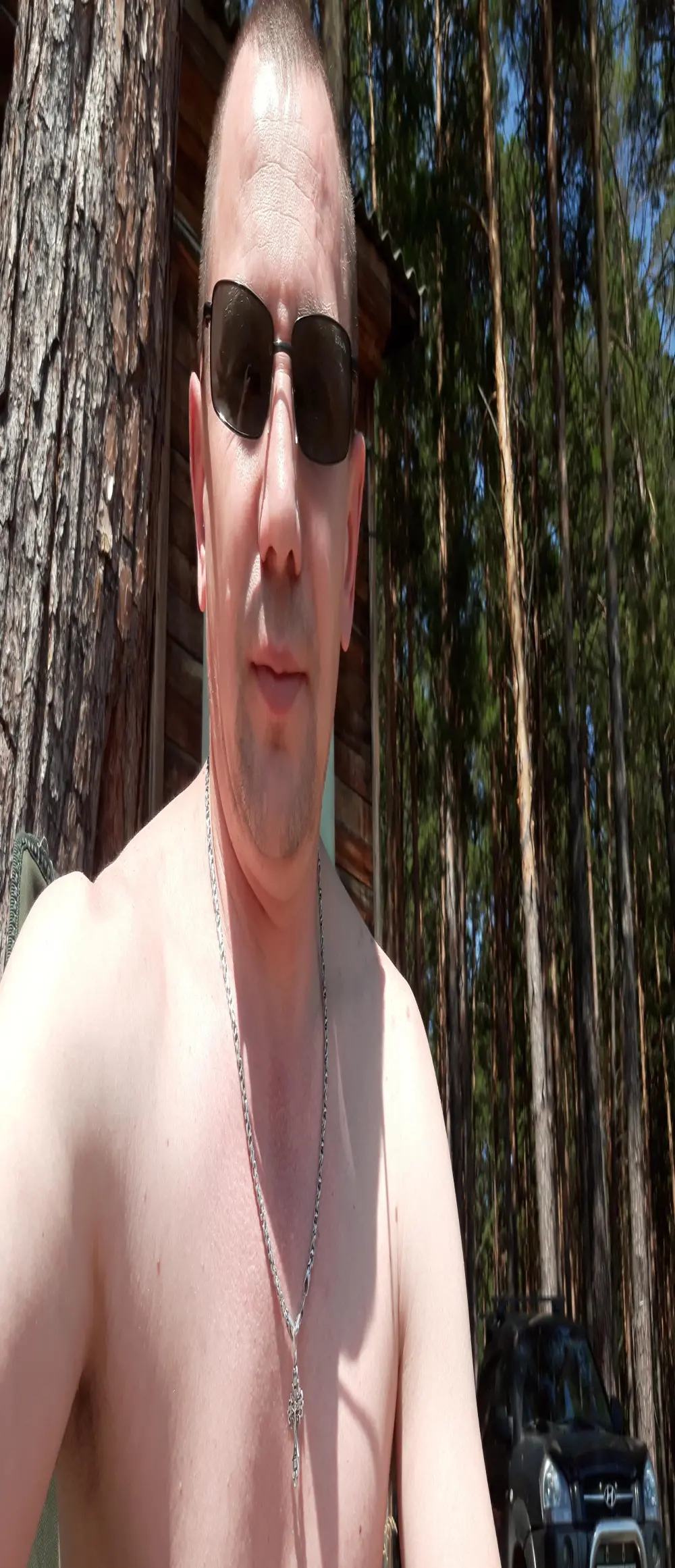 Sergcat