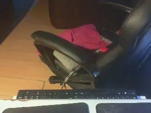 Cam4 Free Porn Cam of dogego566