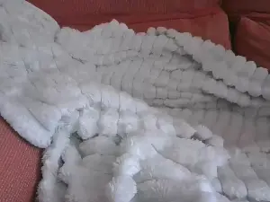 Cam4 Watch Live Sex Cams of Belahabibi
