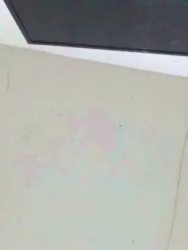 Cam4 Free Porn Cam of MrTinyDicc