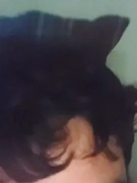 Cam4 Nude Webcam of PanshoNPansho