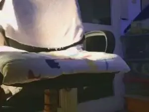 Cam4 Free Porn Cam of VenusenLeo