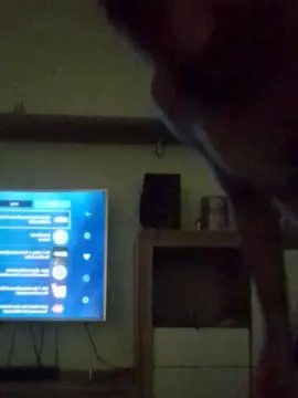 Cam4 Sex Cam of Nono181818