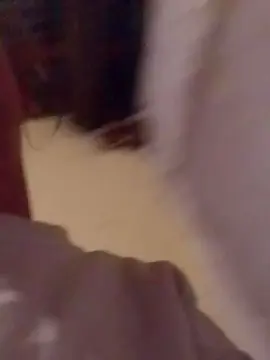 Cam4 Live Porn of Freneticanena