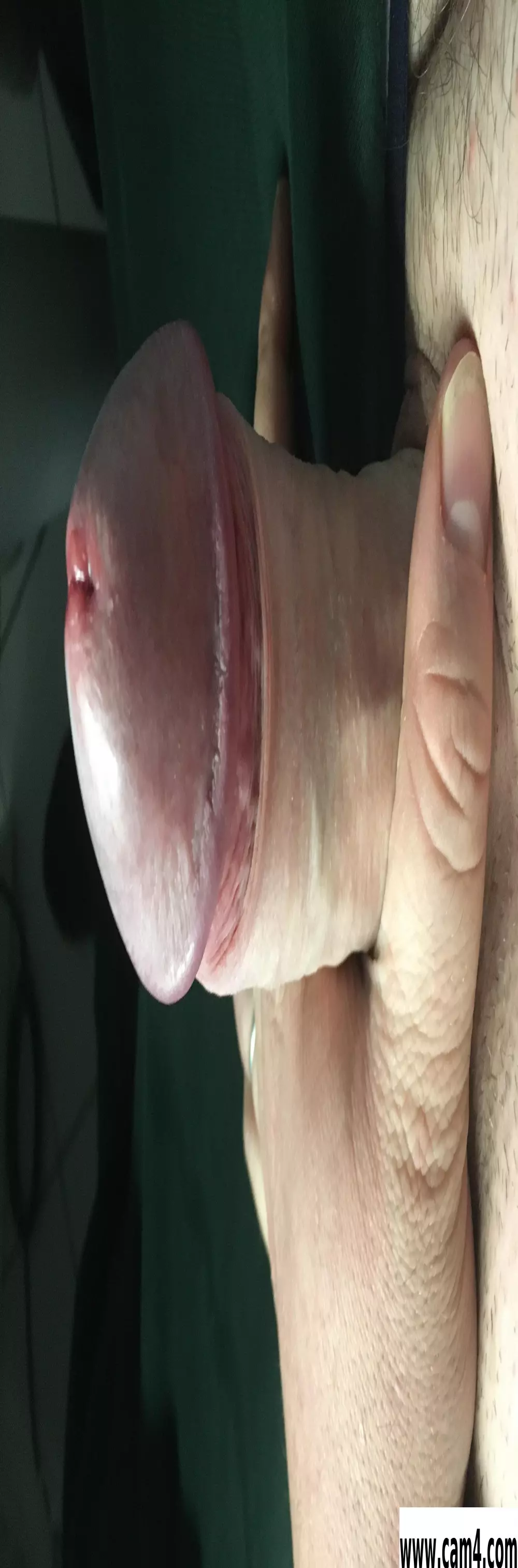 CHEGIOCATORE