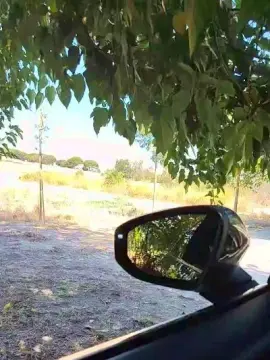 Cam4 Live Porn of Bcnees