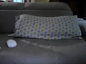 Cam4 Free Porn Cam of balloballo4