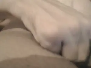 Cam4 Sex Chat of kylabunny