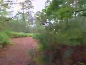 Cam4 Live Sex of Cuni40