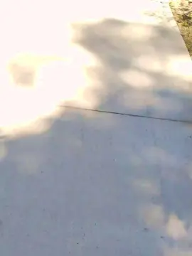 Cam4 Nude Webcam of Marc59d