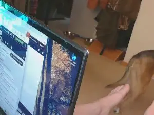 Cam4 Watch Live Sex Cams of neverwinter44