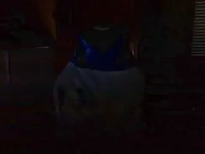 Cam4 Sex Cam of Black_Man86