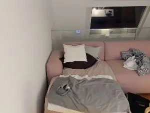 Cam4 Free Porn Cam of bosslut