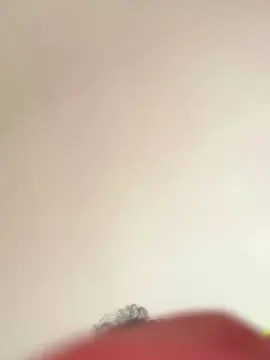 Cam4 Free Live Porn of hoer57