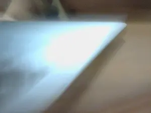 Cam4 Adult Webcams of tomato_1