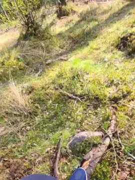 Cam4 Live Sex Cam of likescock5