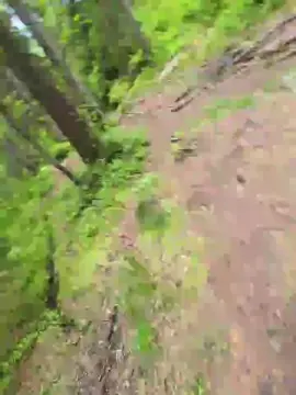Cam4 Live Porn of likescock5