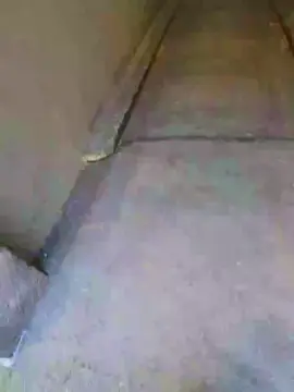 Cam4 Adult Webcam of likescock5