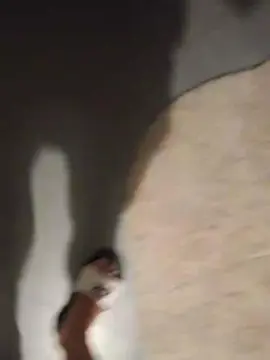 Cam4 Live Sex of sens3