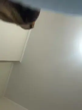 Cam4 Best live sex cam show of Mendonza