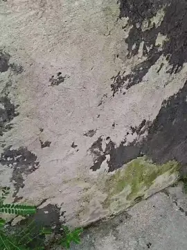 Cam4 Adult Webcam of Tania__honey