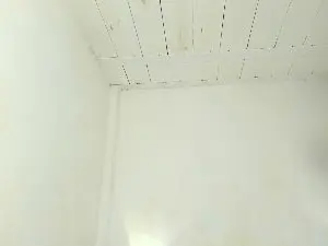 Cam4 Adult Webcam of Max_flex